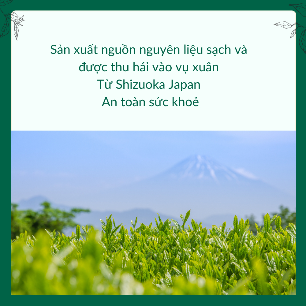 Bột Matcha Natsu Nhập Khẩu Nhật Bản, Pha Chế Đồ Uống, Bánh Kem,Đắp Mặt Nạ Gói Lớn 500G-1Kg
