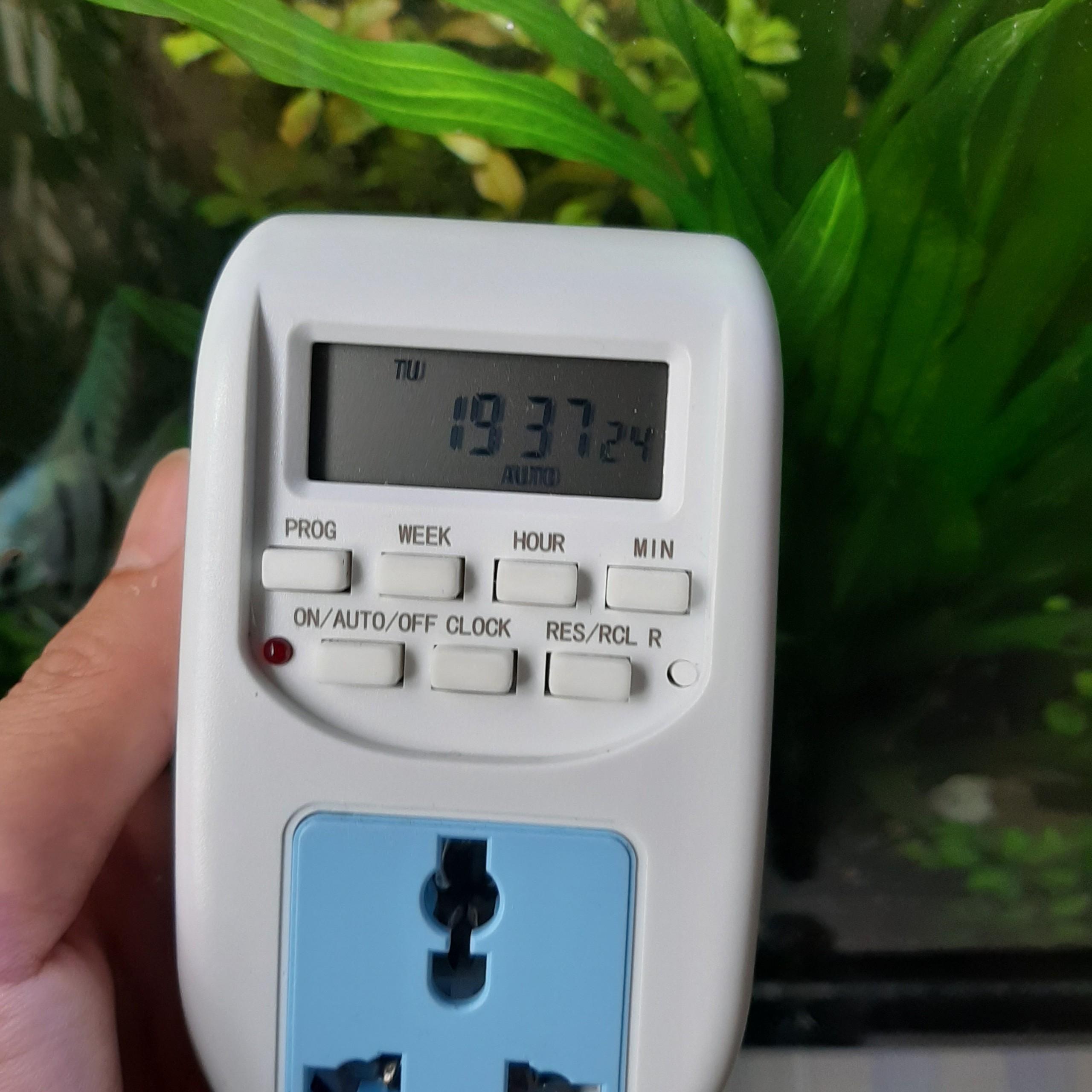 [Lấy mã giảm thêm 30%] Hẹn Giờ Điện Tử Cho Bể Cá  Thuỷ Sinh - Timmer 24h