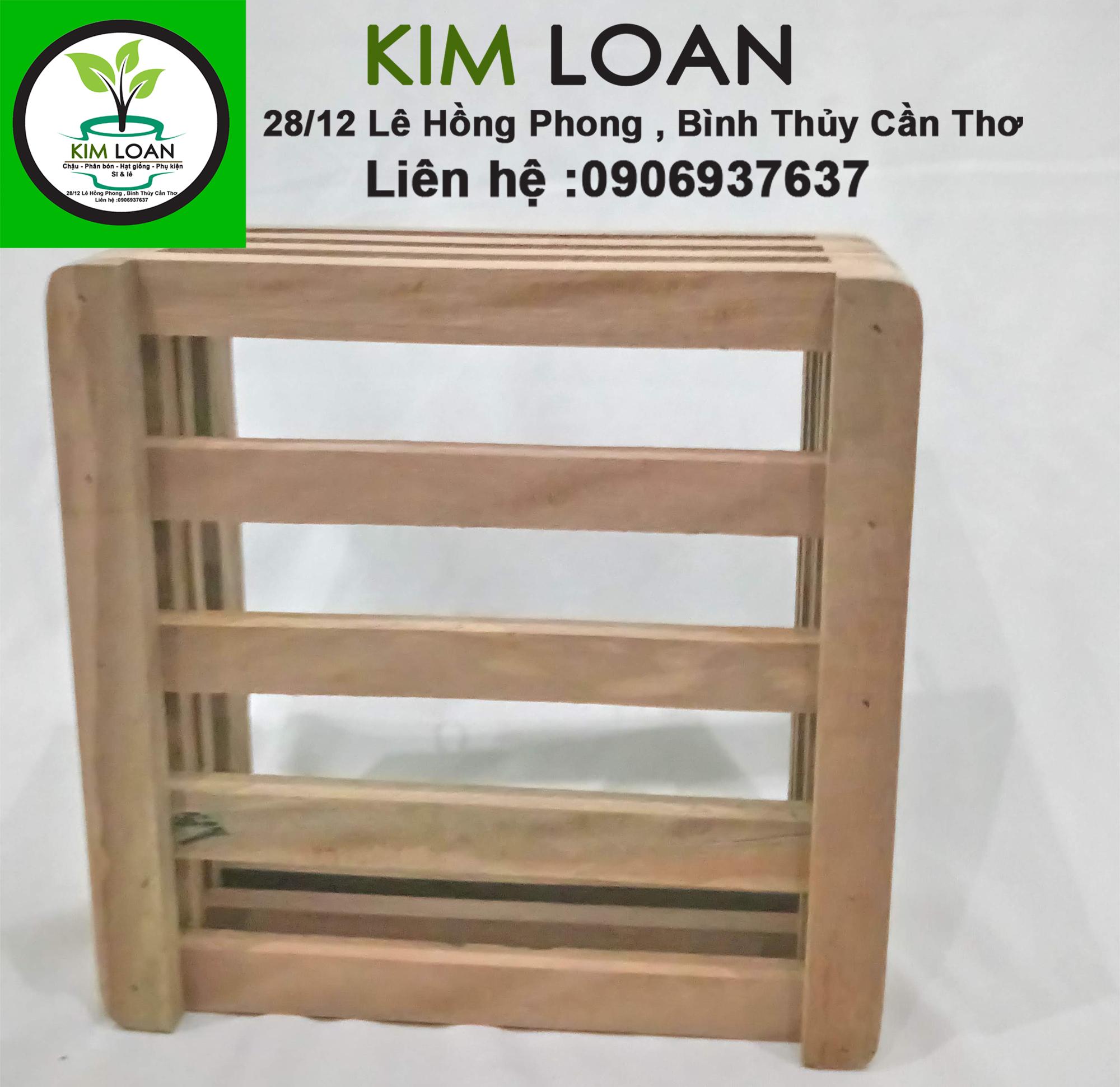 Chậu lan gỗ hộp vuông 20x9cm