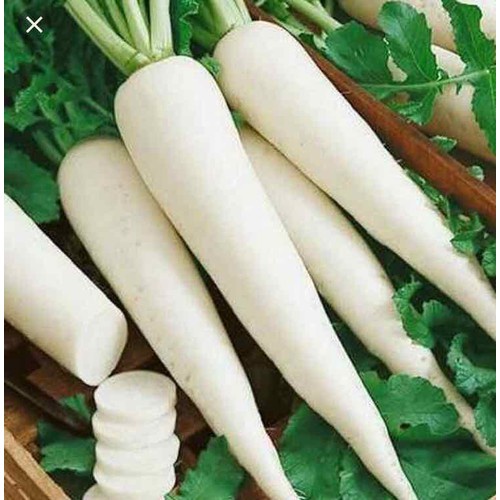 Phân Bón lá Kích Rễ N3M – Ra Rễ Cực Mạnh 100GRAM
