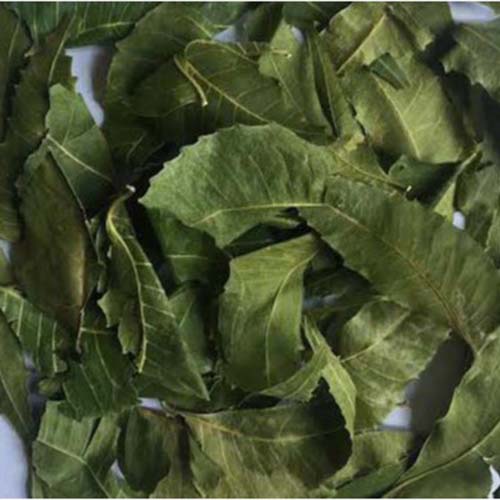 Lá nem ấn độ nguyên chất 100% - hàng cty sấy lạnh - gói 200g