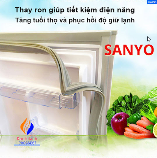 Ron tủ lạnh sanyo SR - U21MN (Ron bắt vít)