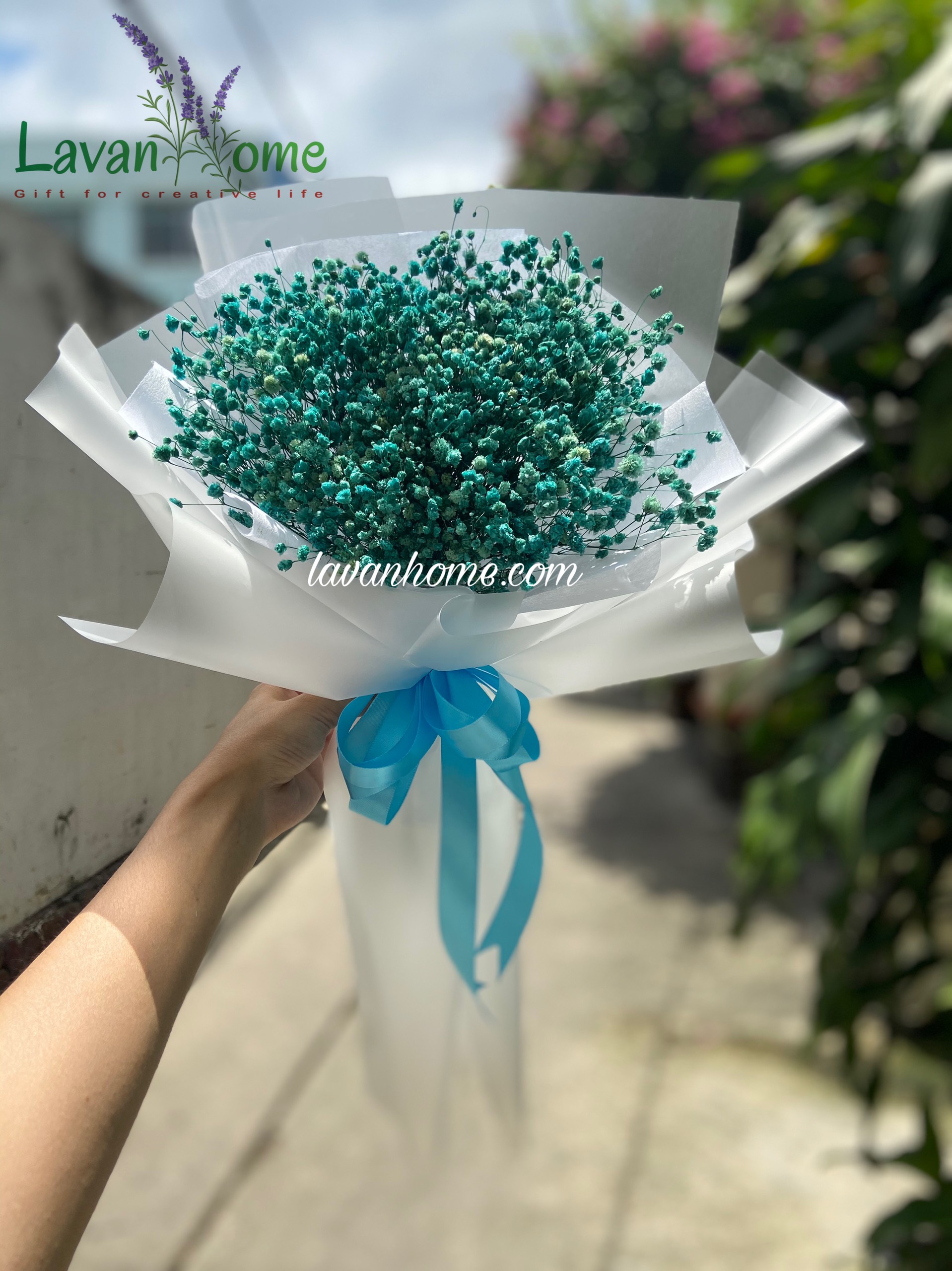 Bó hoa khô baby hồng (nhiều màu)