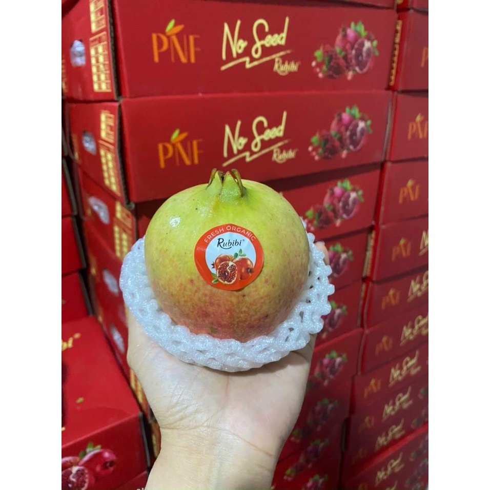 CÂY LỰU LÙN THÁI LAN SIÊU QUẢ ( TRỒNG CHẬU ĐƯỢC )