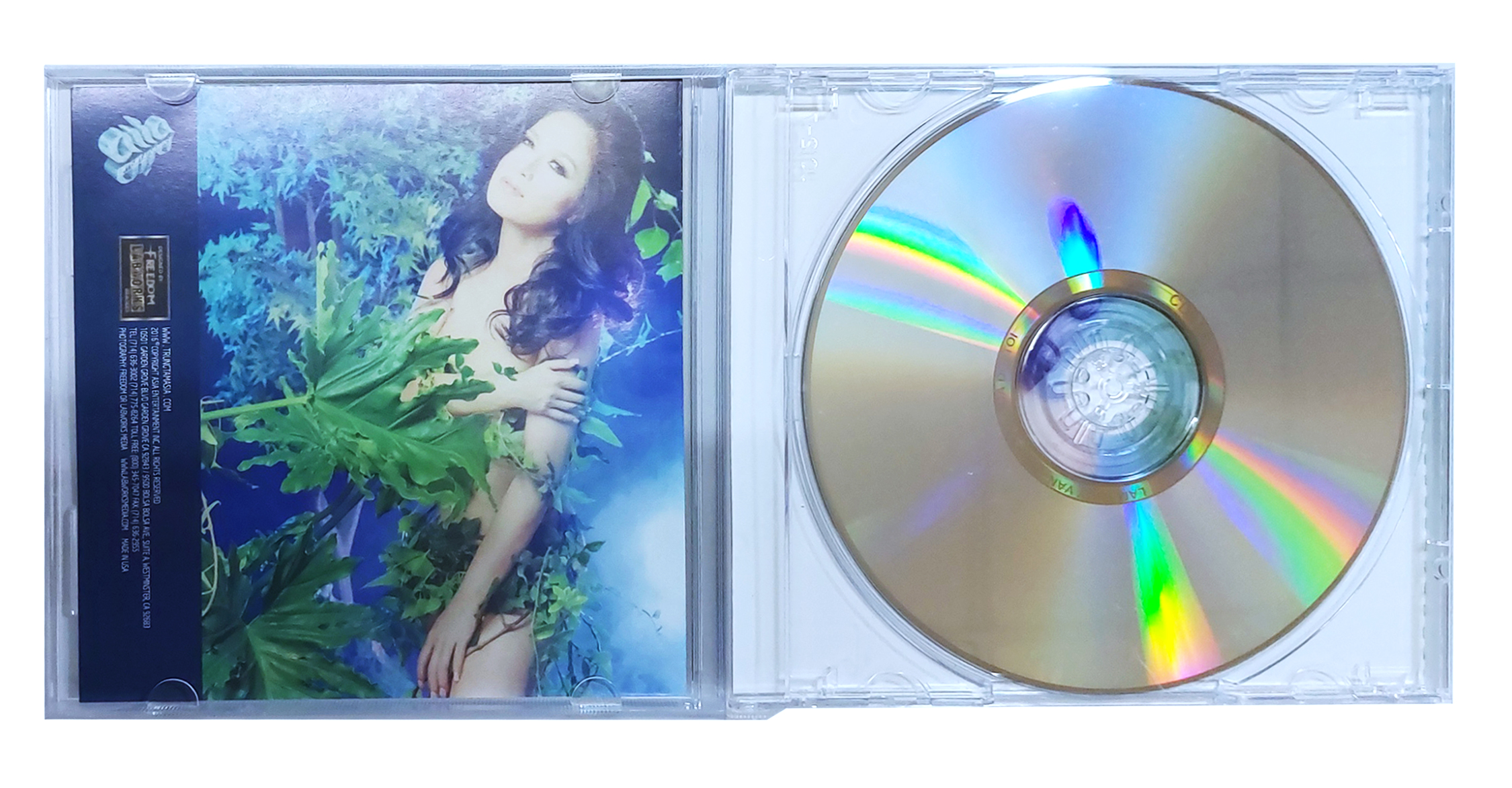 Lâm Thúy Vân - Người Đi Qua Đời Tôi