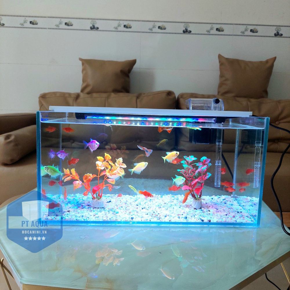 Bể cá mini 40cm COMBO đầy đủ phụ kiện