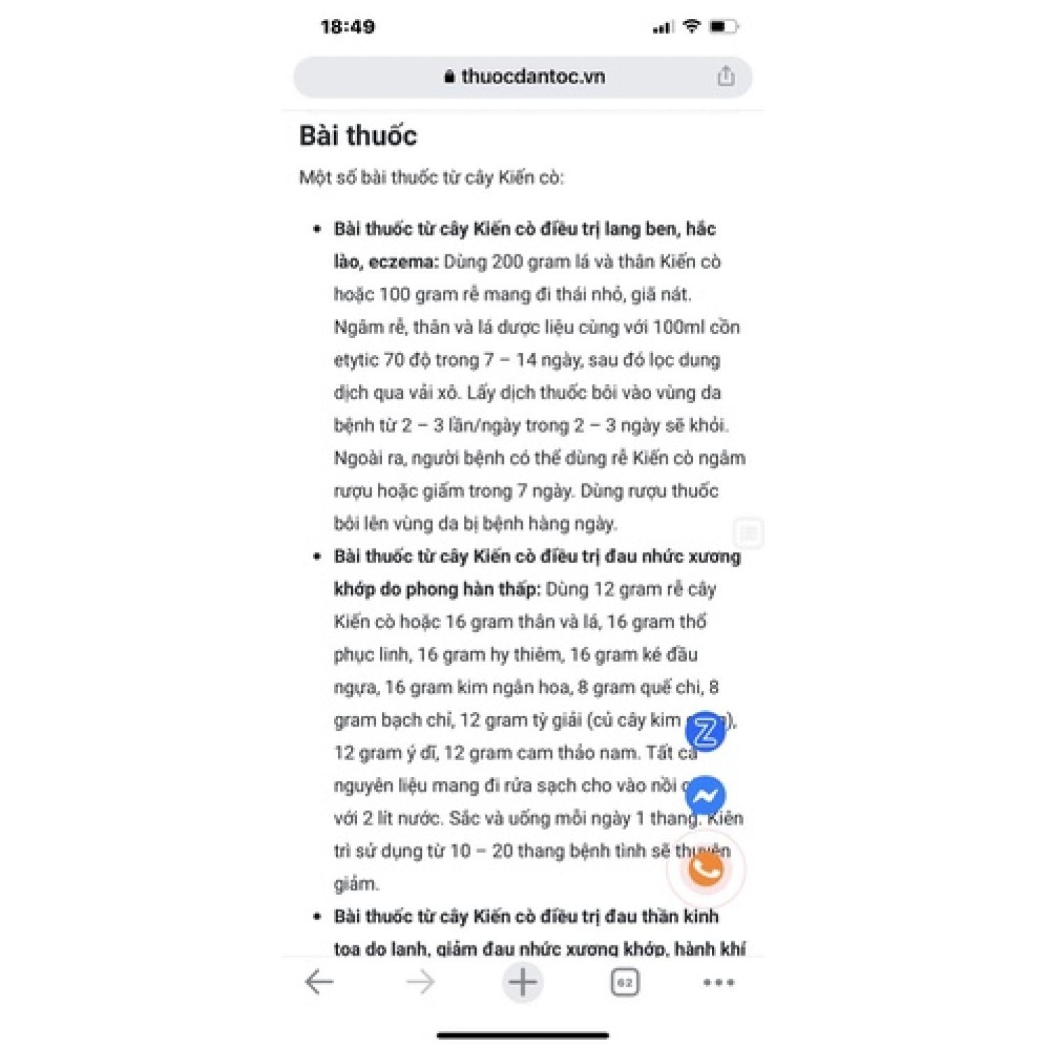 Cây kiến cò/ bạch hạt