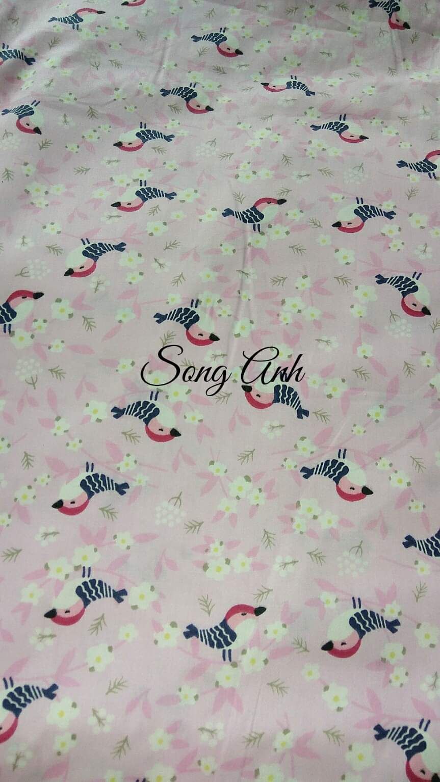 Vải thô kate mặt lụa cotton chim sẻ