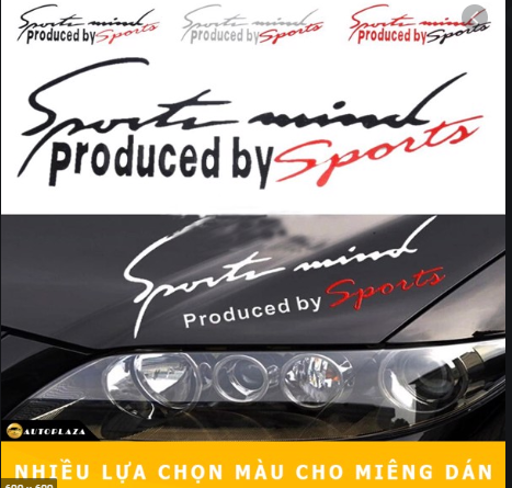 Tem Sport Mind dán lắp capo ô tô