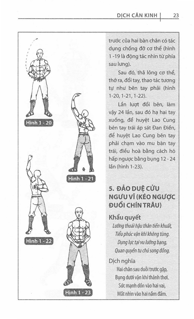 Sách Dịch Cân Kinh Đạt Ma (Mạnh Linh)
