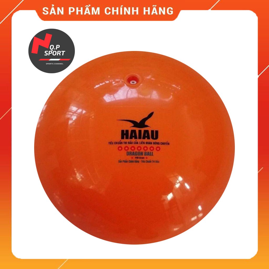 Bóng chuyền hơi thăng long, anh huy và hải âu 200g, 250g - tặng kim + lưới
