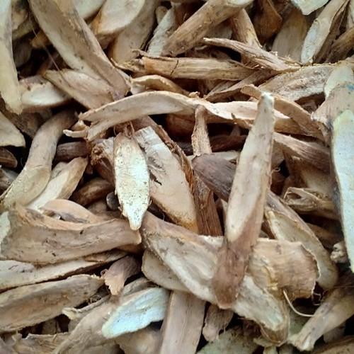 1kg củ gai khô giúp an thai