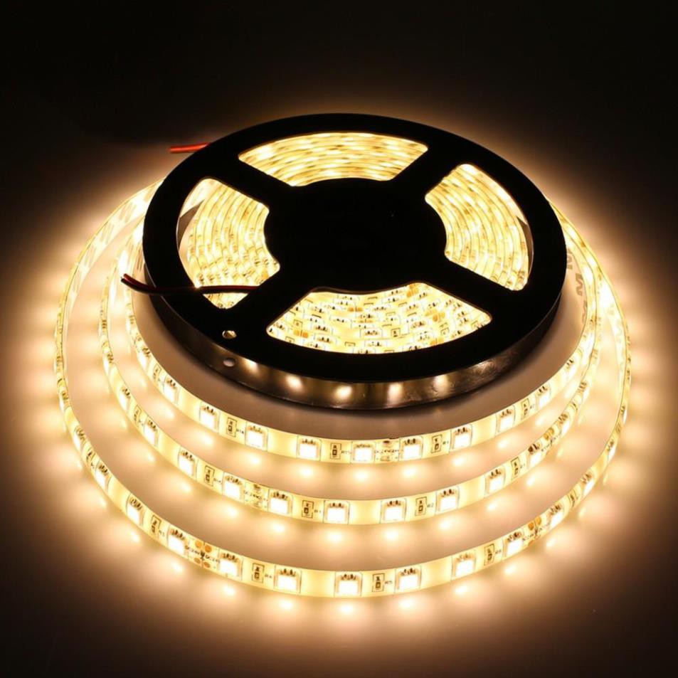 [HCM]Cuộn Led dây dán 5m 5050 12V