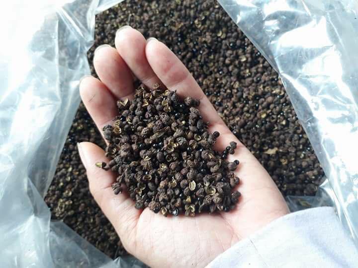 1kg Hạt Mắc Khén