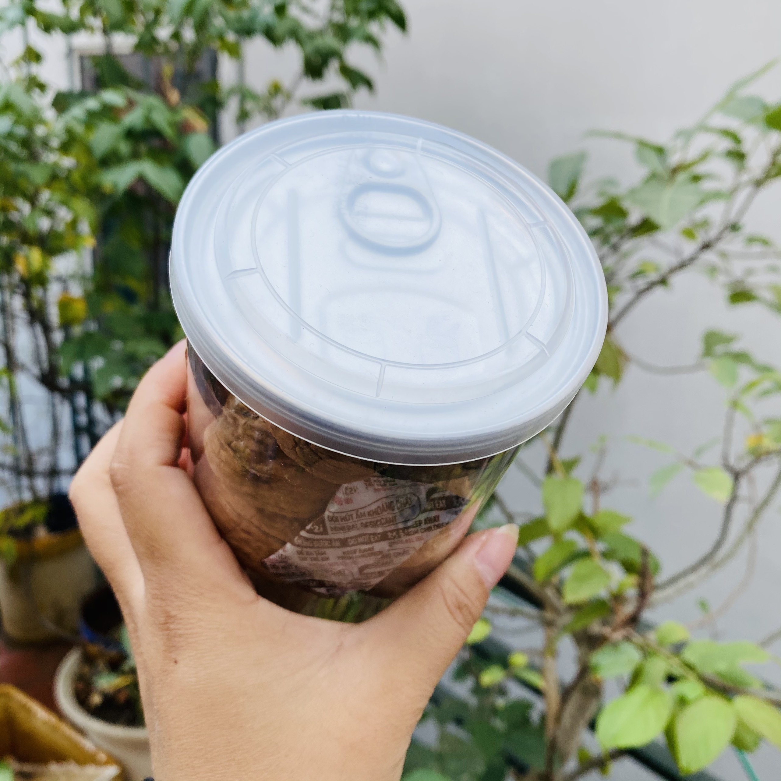 HẠT ÓC CHÓ MỸ - 300gr - MONMON FOOD