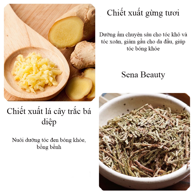 Dầu xả gừng tươi Images 300ML/Chai