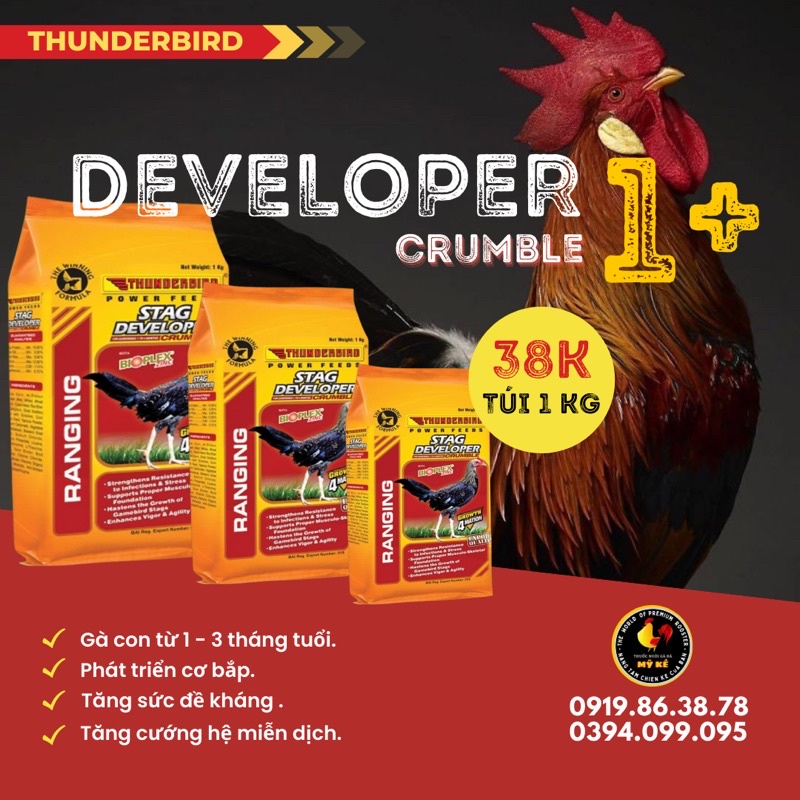 STAG DEVELOPER thức ăn cho gà đá 1 đến 4 tháng BỊCH 1KG