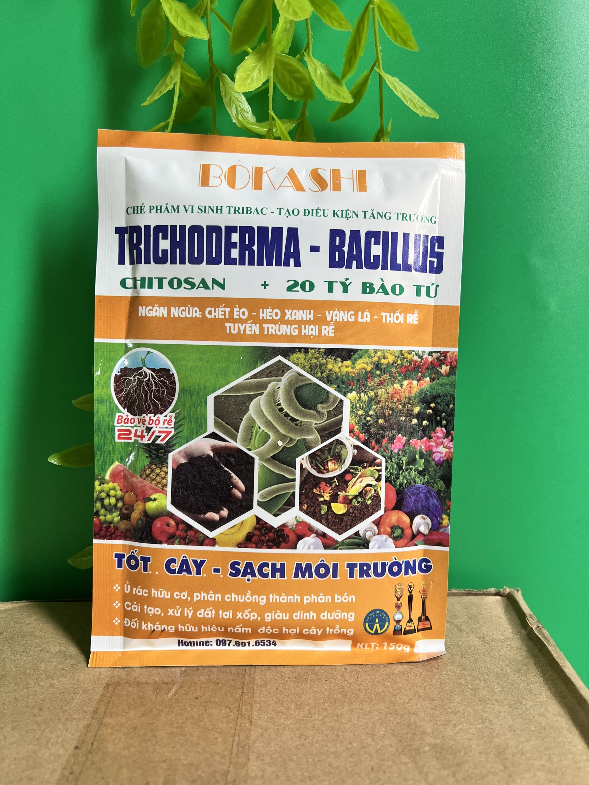 Nấm Trichoderma Bacillus, nấm đối kháng tricoderma ủ phân bón, rác thải nhà bếp cho cây trồng