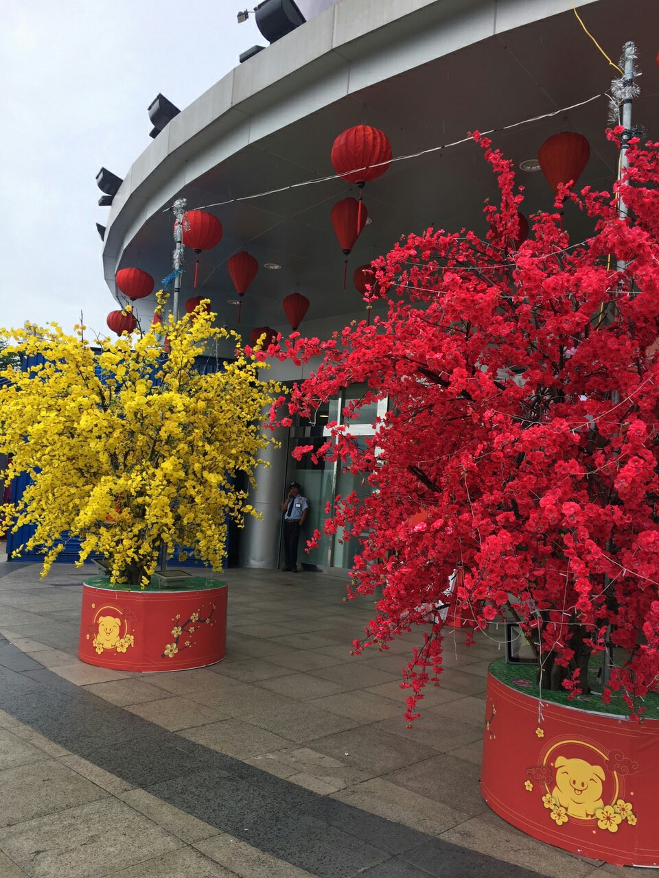 cành mai giả
