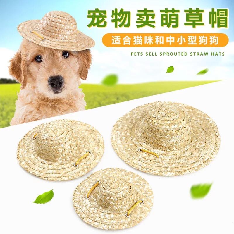 [HCM]Nón Cối trơn cho thú cưng