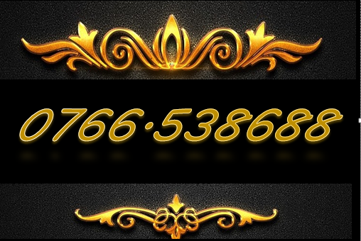 Sim phong thủy 0766.538688