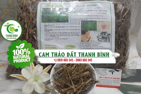 Cây cam thảo đất 1kg khô - đông y thanh bình