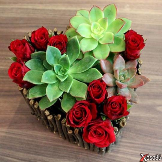 Combo 2 Viên Xốp Cắm Hoa Tươi