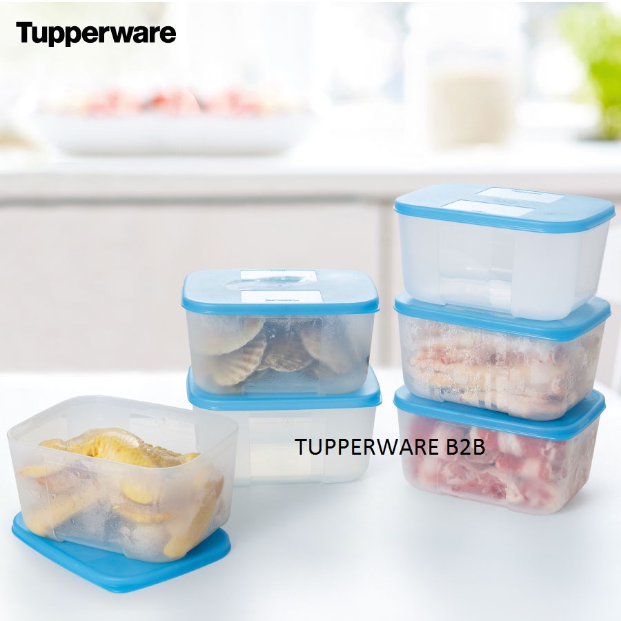 Bộ hộp trữ đông freezermate 650ml tupperware chính hãng