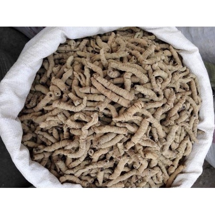Ba Kích Tím (Loại To, Đã Bỏ Lõi) khô, thơm