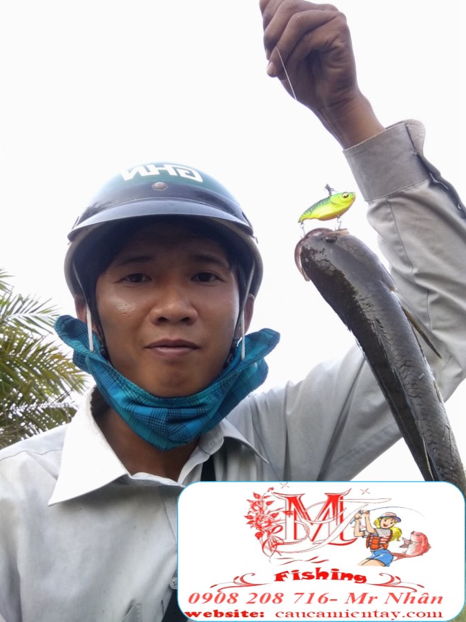 Mồi Lure Cá Lóc V5 Rất Hiệu Quả