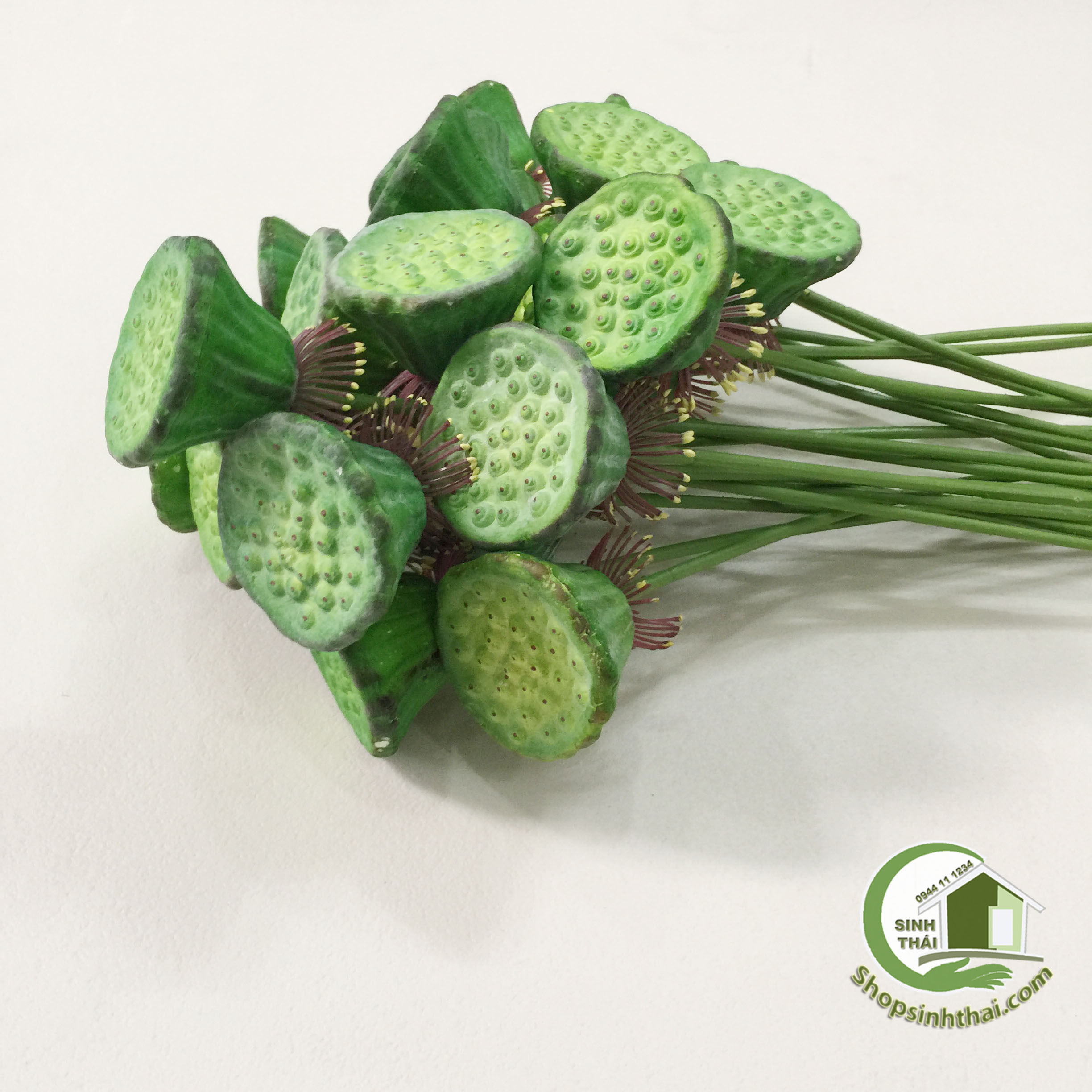 [HCM]Gương sen giả - gương sen cao cấp