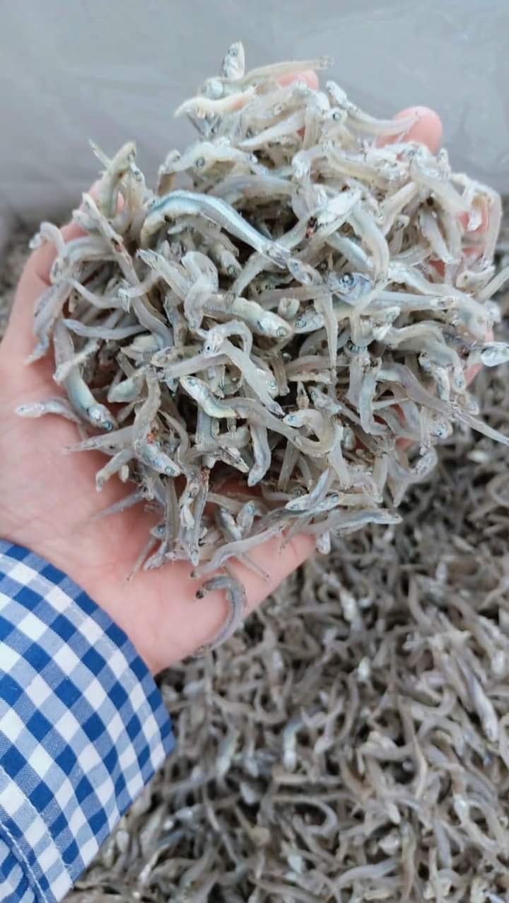 Cá cơm khô thành phố biển Quy Nhơn (TÚI 500G)