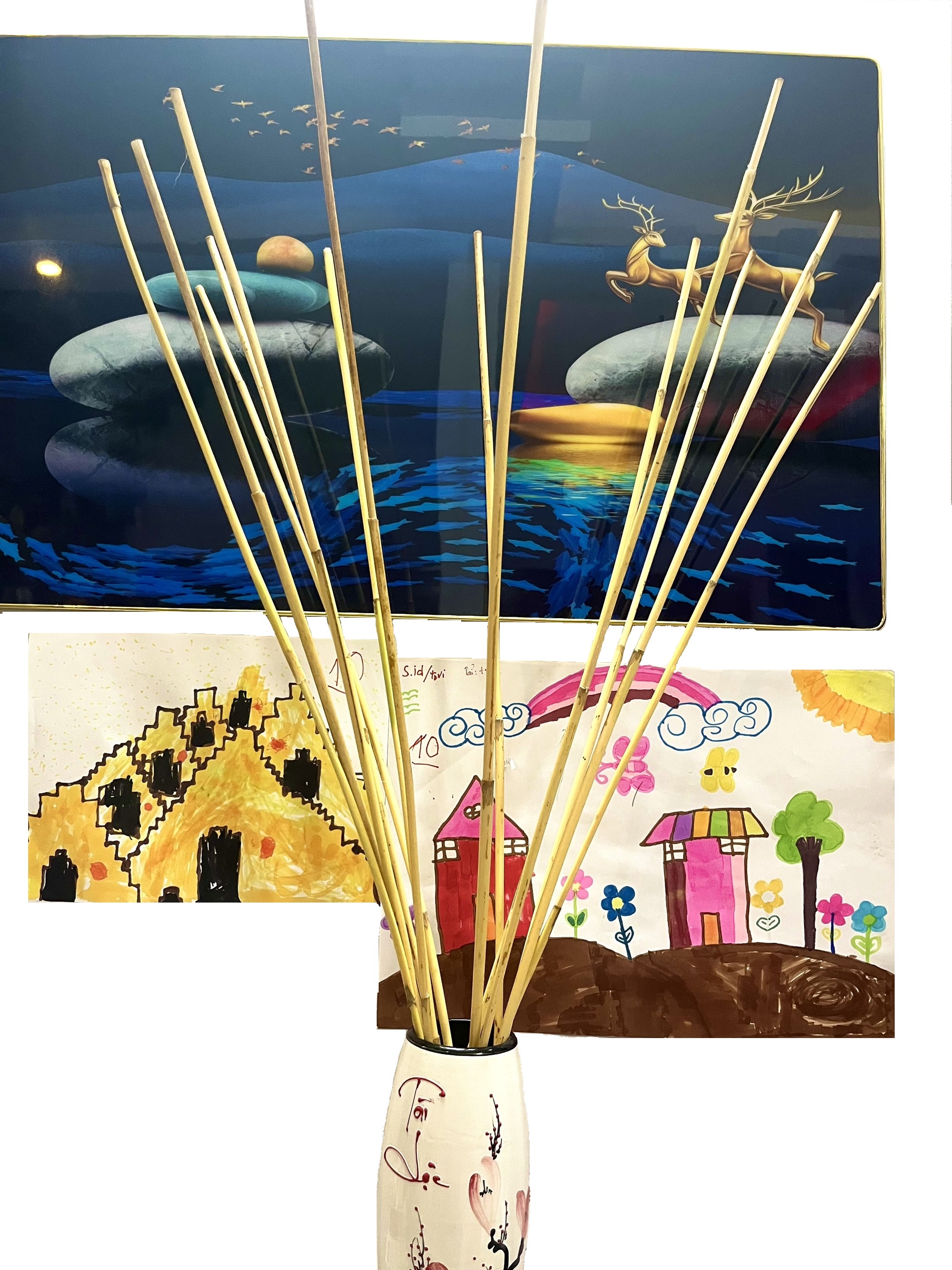 Cây Mây Dẻo Dai - Sử Dụng Để Trang Trí