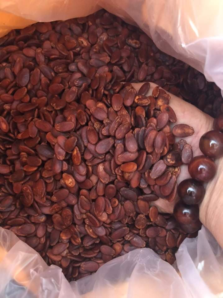 500G HẠT DƯA