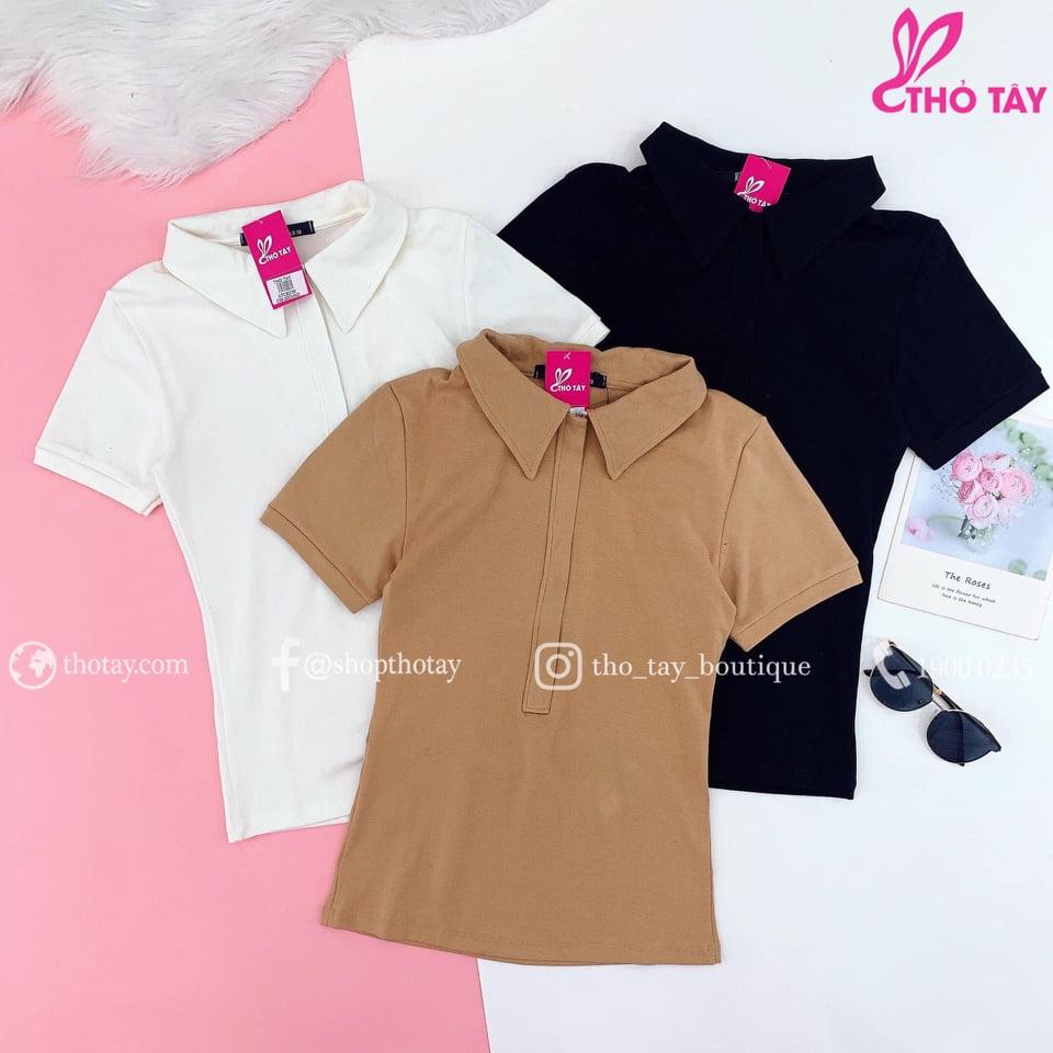 Áo borip cổ bẻ đơn giản TTKX0595