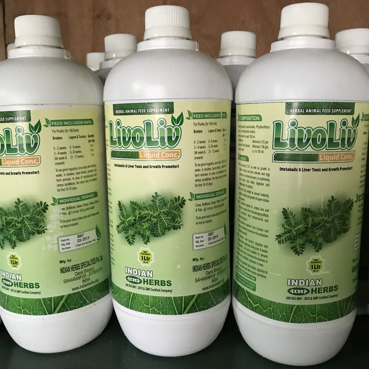 Bổ gan thận Ấn Độ chai 1L