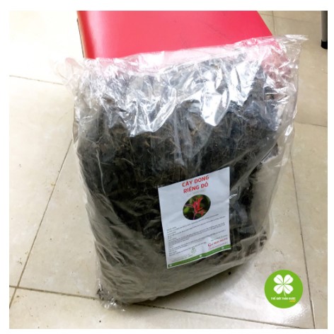 Cây dong riềng đỏ (gói 1kg) - DTX162