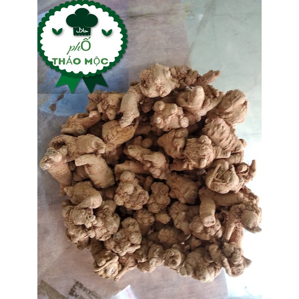100gr Củ Tam Thất Bắc