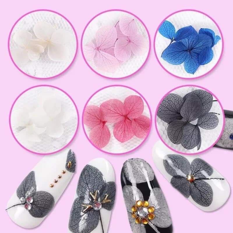 Hoa khô lụa trang trí móng, ẩn gel, đắp bột.