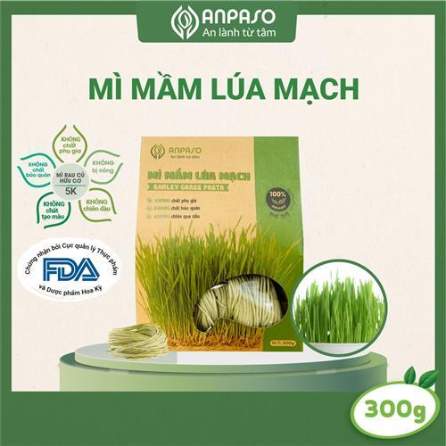 Mì mầm lúa mạch organic anpaso 300g