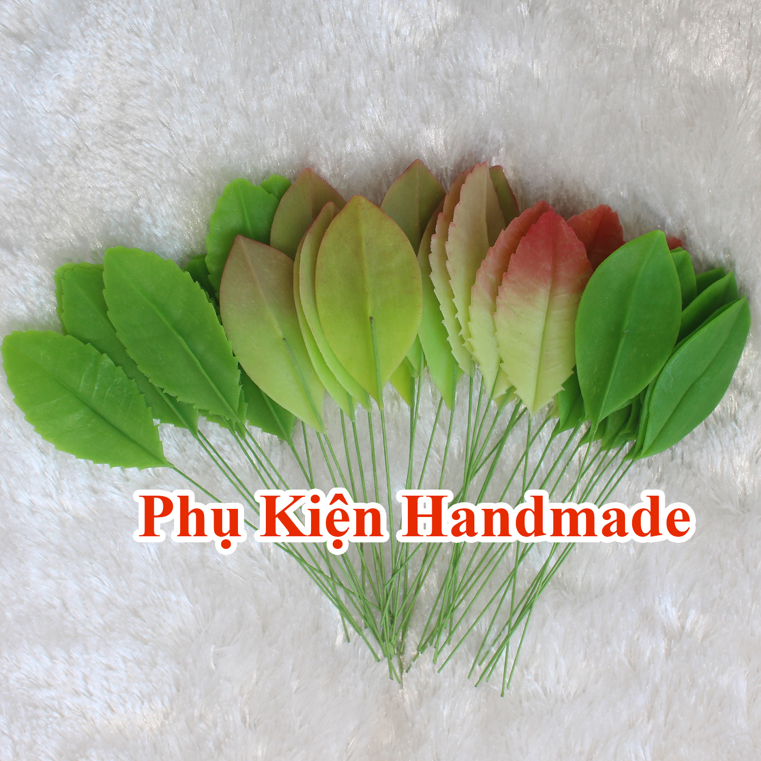Lá hoa đất sét / lá mai / lá mai đất sét