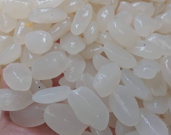 HẠT ĐÁC, HẠT THỐT NỐT 1KG