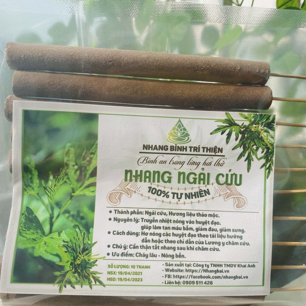 Combo 10 bịch nhang ngải cứu Bình Trí Thiện (10 thanh/bịch)