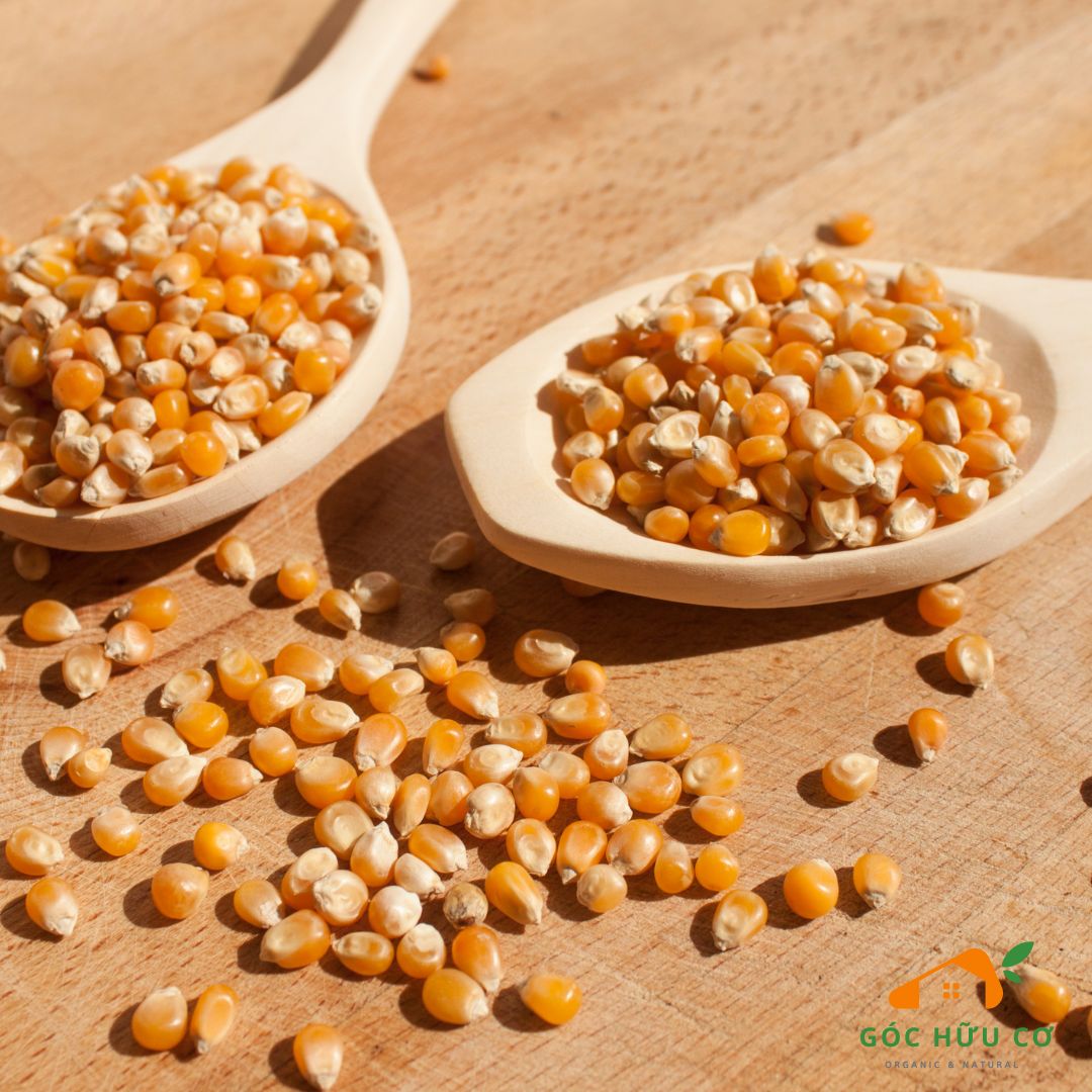 Hạt Bỏng Ngô Vàng Hữu Cơ Sottolestelle Organic Yellow Pop Corn 400g - Hạt Hữu Cơ - Pop Corn - Bỏng Ngô - Góc Hữu Cơ