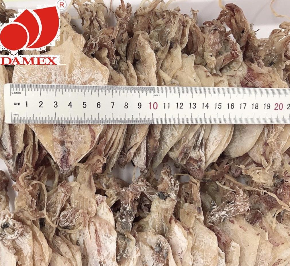 Khô mực DAMEX size trung combo 22 con