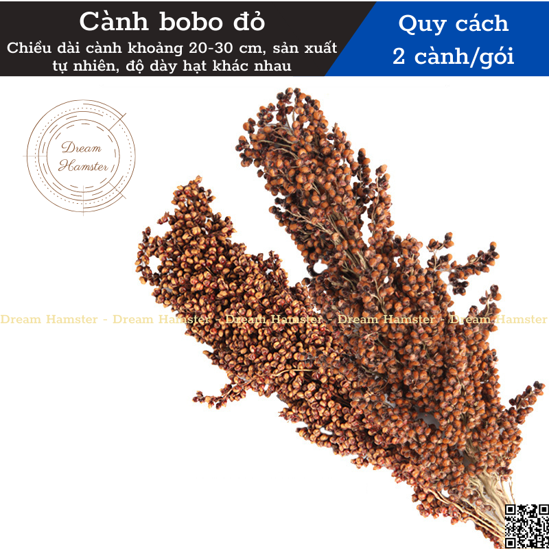 Cành ngũ cốc Bucatstate, thức ăn ngũ cốc dành cho hamster và thú nhỏ