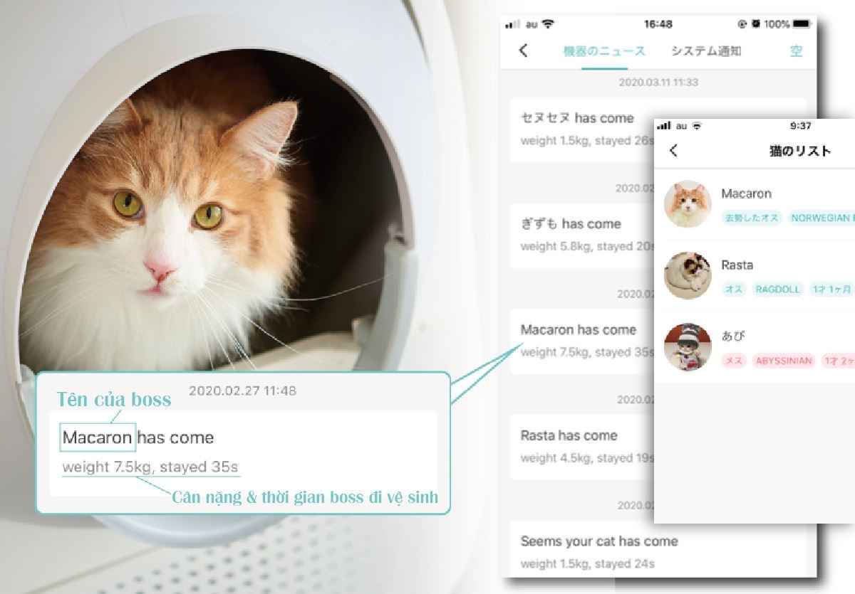 Nhà vệ sinh tự dọn cho mèo CATLINK