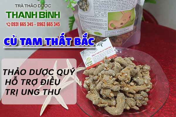Củ Tam Thất Bắc 100G Khô Loại 1 Cao Cấp - Đông Y Thanh Bình