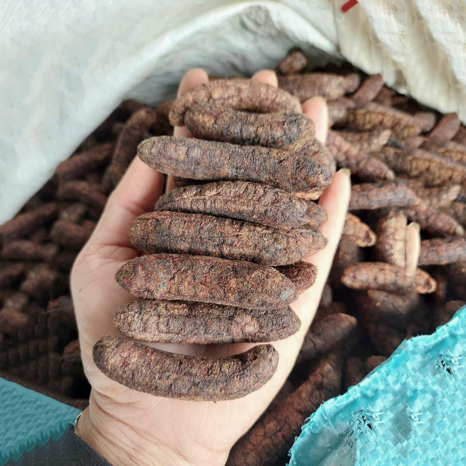 [HOT] Chuối hột rừng khô ( 500g, 1kg) - Thảo Dược Tấn Phát - Hàng công ty chất lượng cao