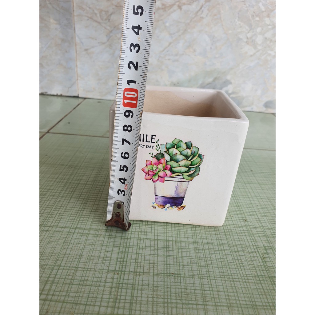 [HCM]Combo 5 chậu sứ Bát Tràng 10x10cm